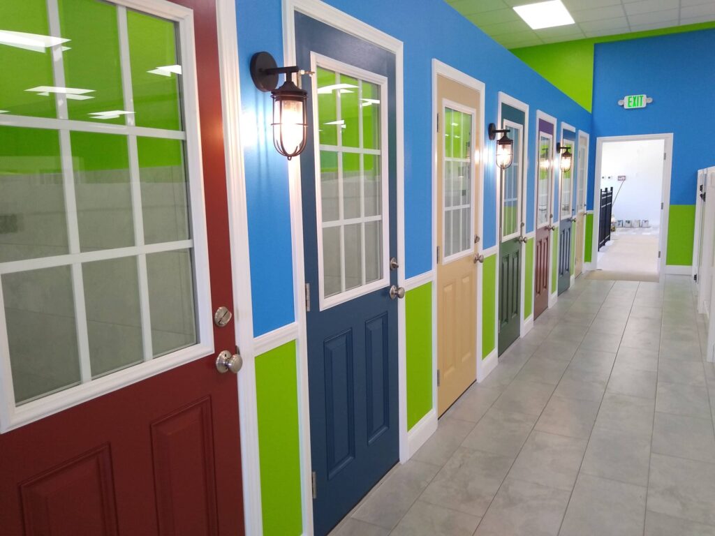 Repaint Specialist in Tampa, FL